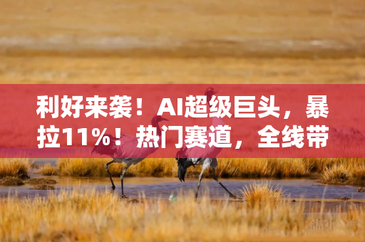 利好来袭！AI超级巨头，暴拉11%！热门赛道，全线带飞