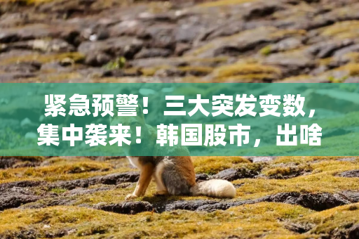 紧急预警！三大突发变数，集中袭来！韩国股市，出啥事儿了？