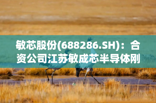 敏芯股份(688286.SH)：合资公司江苏敏成芯半导体刚注册成立 目前暂无任何产品产出