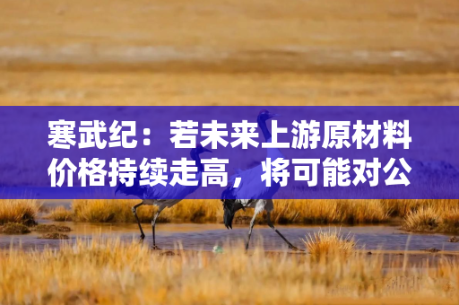 寒武纪：若未来上游原材料价格持续走高，将可能对公司经营业绩产生不利影响