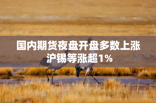 国内期货夜盘开盘多数上涨 沪锡等涨超1%