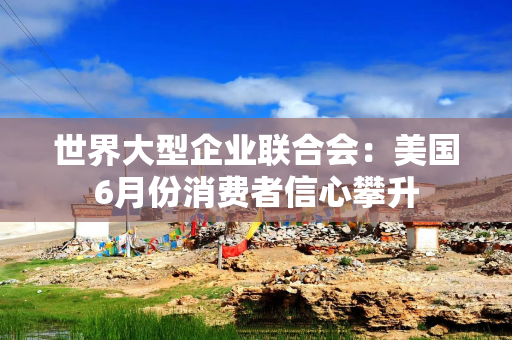 世界大型企业联合会：美国6月份消费者信心攀升