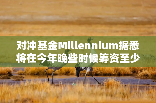 对冲基金Millennium据悉将在今年晚些时候筹资至少100亿美元