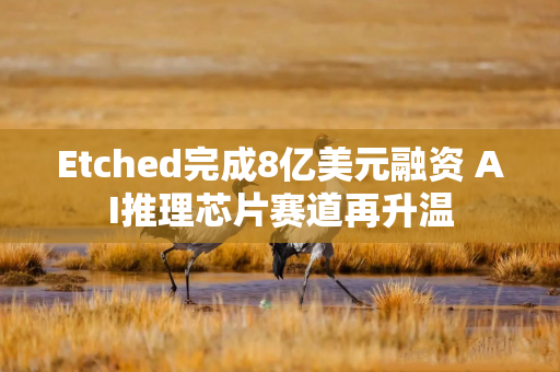 Etched完成8亿美元融资 AI推理芯片赛道再升温