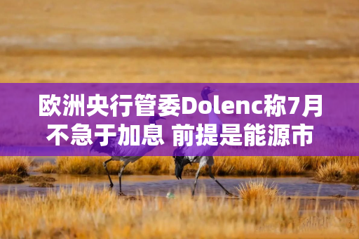 欧洲央行管委Dolenc称7月不急于加息 前提是能源市场保持平静 欧洲央行管委Dolenc称7月不急于加息 前提是能源市场保持平静