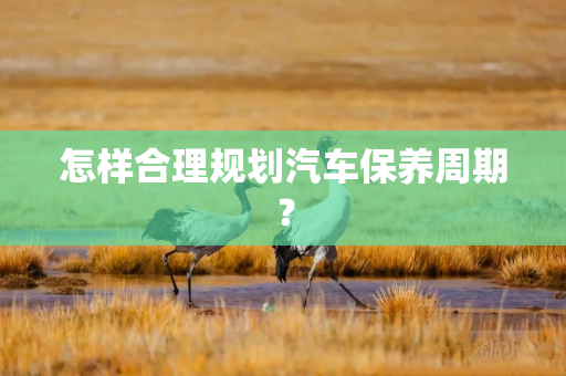 怎样合理规划汽车保养周期? 怎样合理规划汽车保养周期?