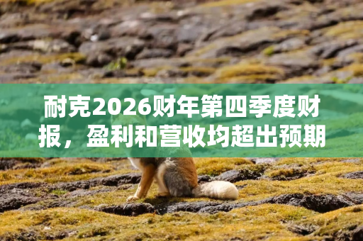 耐克2026财年第四季度财报，盈利和营收均超出预期