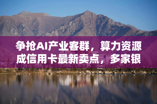争抢AI产业客群,算力资源成信用卡最新卖点,多家银行重构权益体系寻求业务突破 争抢AI产业客群,算力资源成信用卡最新卖点,多家银行重构权益体系寻求业务突破