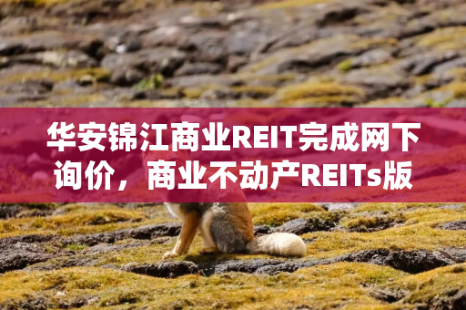 华安锦江商业REIT完成网下询价，商业不动产REITs版图再扩展