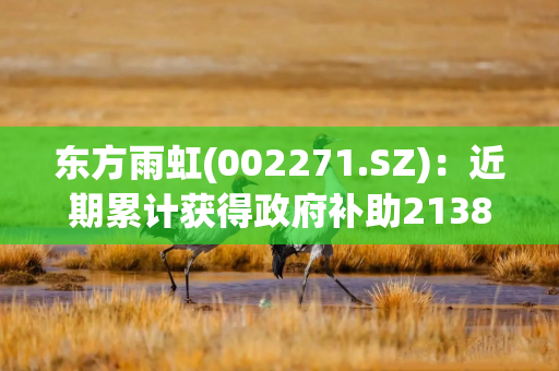 东方雨虹(002271.SZ)：近期累计获得政府补助2138.6万元