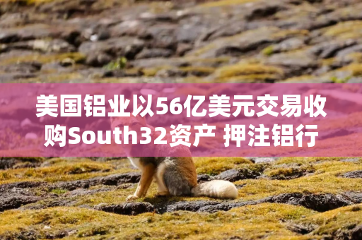美国铝业以56亿美元交易收购South32资产 押注铝行业增长前景 美国铝业以56亿美元交易收购South32资产 押注铝行业增长前景