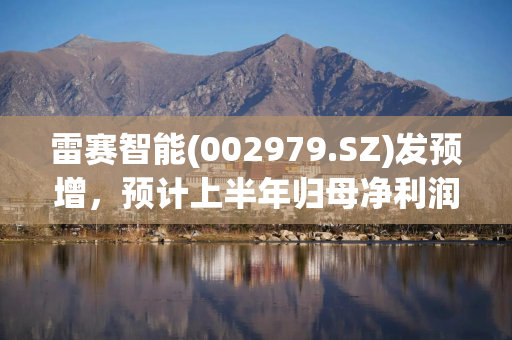 雷赛智能(002979.SZ)发预增，预计上半年归母净利润同比增长55%-65%