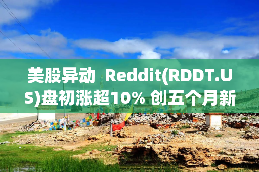 美股异动  Reddit(RDDT.US)盘初涨超10% 创五个月新高