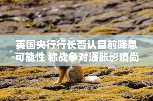 英国央行行长否认目前降息可能性 称战争对通胀影响尚未完全显现
