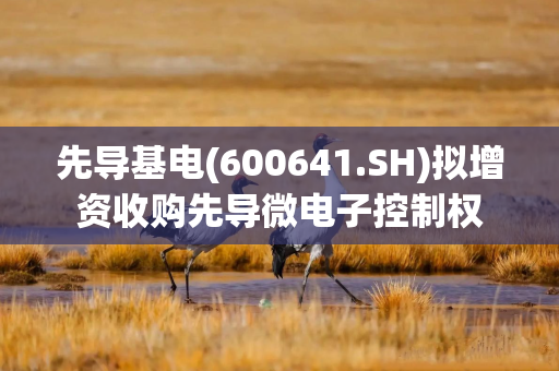 先导基电(600641.SH)拟增资收购先导微电子控制权