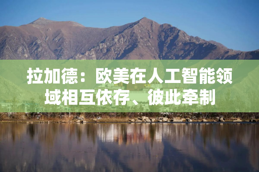 拉加德：欧美在人工智能领域相互依存、彼此牵制