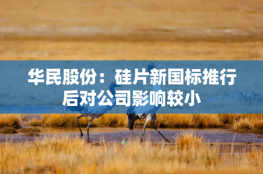 华民股份:硅片新国标推行后对公司影响较小 华民股份:硅片新国标推行后对公司影响较小