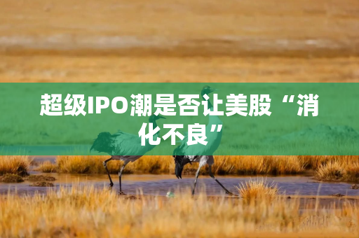 超级IPO潮是否让美股“消化不良”