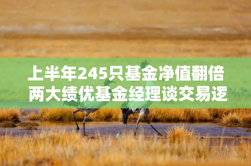 上半年245只基金净值翻倍 两大绩优基金经理谈交易逻辑