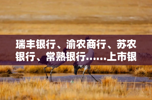 瑞丰银行、渝农商行、苏农银行、常熟银行……上市银行再迎高管“组团”增持潮 瑞丰银行、渝农商行、苏农银行、常熟银行……上市银行再迎高管“组团”增持潮