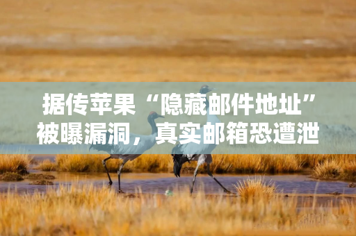 据传苹果“隐藏邮件地址”被曝漏洞，真实邮箱恐遭泄露