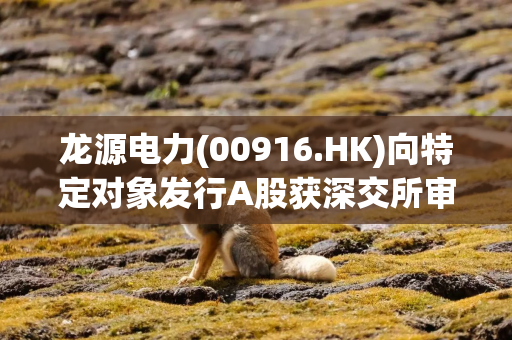 龙源电力(00916.HK)向特定对象发行A股获深交所审核通过