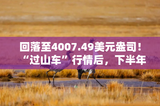 回落至4007.49美元盎司！“过山车”行情后，下半年金价如何表现？