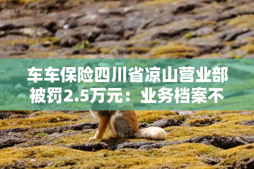 车车保险四川省凉山营业部被罚2.5万元:业务档案不规范不完整等 车车保险四川省凉山营业部被罚2.5万元:业务档案不规范不完整等
