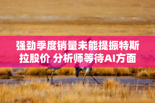 强劲季度销量未能提振特斯拉股价 分析师等待AI方面有更多进展