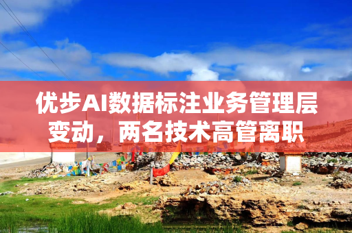 优步AI数据标注业务管理层变动，两名技术高管离职