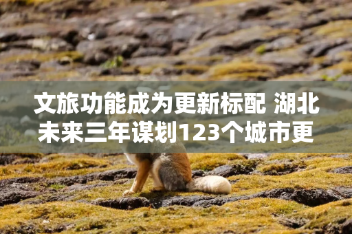 文旅功能成为更新标配 湖北未来三年谋划123个城市更新重点片区