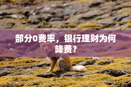 部分0费率，银行理财为何降费？