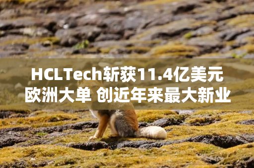 HCLTech斩获11.4亿美元欧洲大单 创近年来最大新业务增速