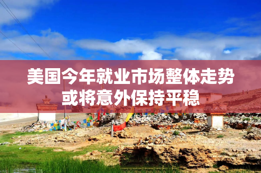 美国今年就业市场整体走势或将意外保持平稳