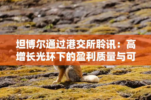 坦博尔通过港交所聆讯:高增长光环下的盈利质量与可持续性之问 坦博尔通过港交所聆讯:高增长光环下的盈利质量与可持续性之问