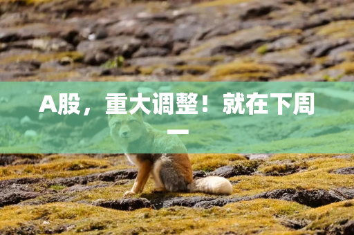 A股，重大调整！就在下周一
