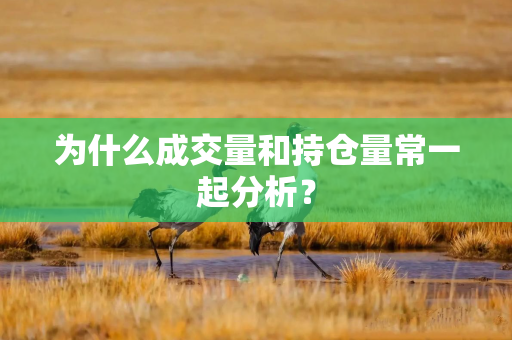 为什么成交量和持仓量常一起分析？
