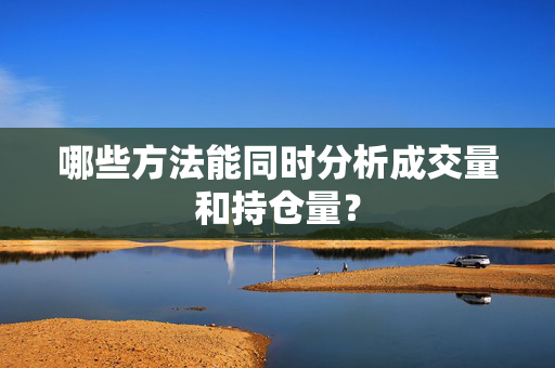 哪些方法能同时分析成交量和持仓量？