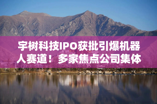 宇树科技IPO获批引爆机器人赛道！多家焦点公司集体提示风险：有的相关收入不足1万元，有的直言“无相关研发”