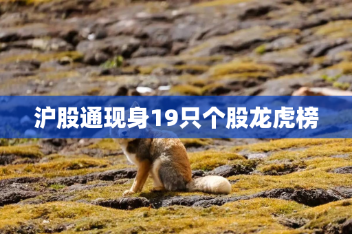 沪股通现身19只个股龙虎榜