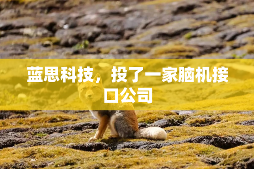 蓝思科技，投了一家脑机接口公司