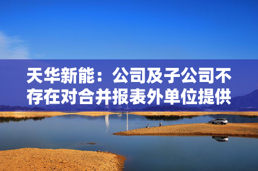 天华新能：公司及子公司不存在对合并报表外单位提供担保的情况