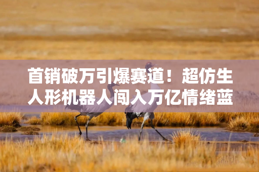 首销破万引爆赛道!超仿生人形机器人闯入万亿情绪蓝海,A 股核心标的全解析 首销破万引爆赛道!超仿生人形机器人闯入万亿情绪蓝海,A 股核心标的全解析