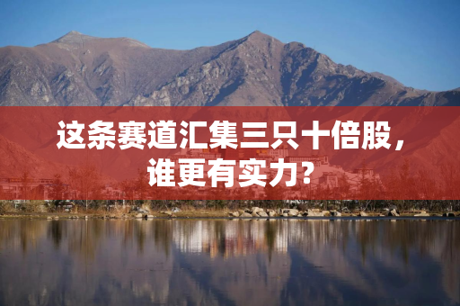 这条赛道汇集三只十倍股，谁更有实力？