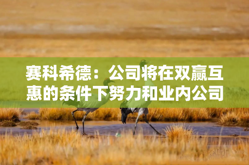 赛科希德：公司将在双赢互惠的条件下努力和业内公司开展多种形式的合作