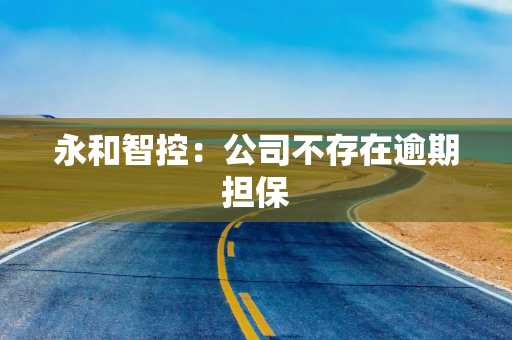 永和智控：公司不存在逾期担保
