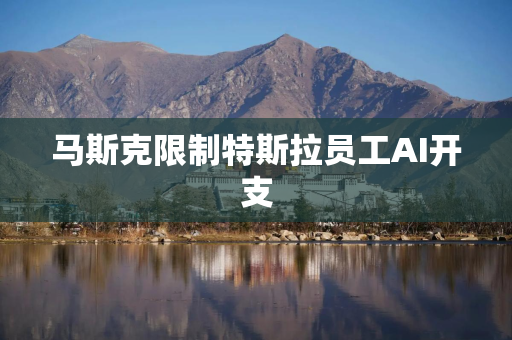 马斯克限制特斯拉员工AI开支
