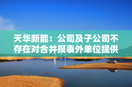 天华新能：公司及子公司不存在对合并报表外单位提供担保的情况