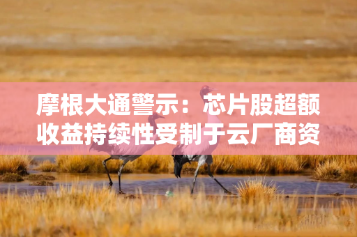 摩根大通警示：芯片股超额收益持续性受制于云厂商资本开支意愿