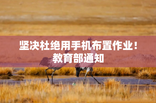 坚决杜绝用手机布置作业！教育部通知